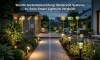 Smarte Gartenbeleuchtung: Niedervolt-Systeme vs. Solar-Smart-Lights im Vergleich